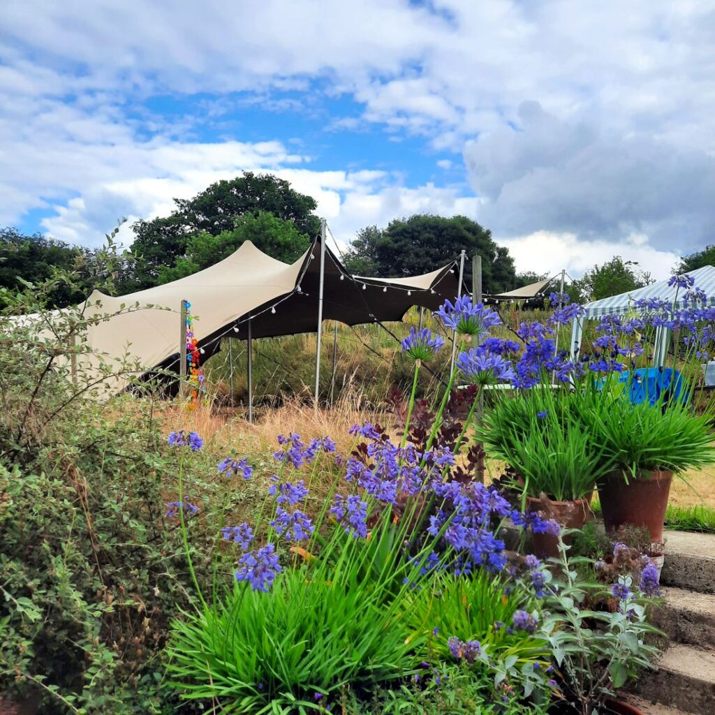 stretch tent norwich